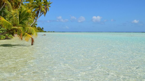 Découvrez les maisons à louer à deshaies pour un séjour idéal